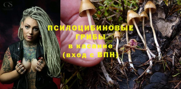 МДПВ Богородск