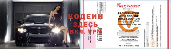 стаф Белокуриха
