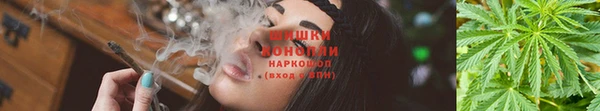 дурь Белоозёрский