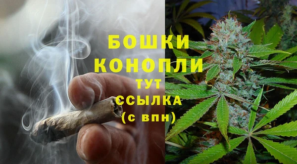 стаф Белокуриха