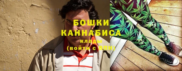 стаф Белокуриха