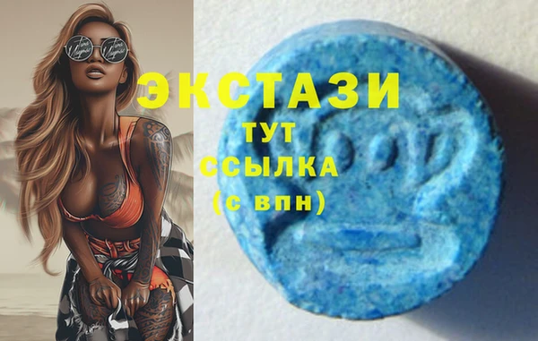 МДПВ Богородск