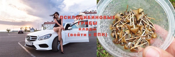 стаф Белокуриха