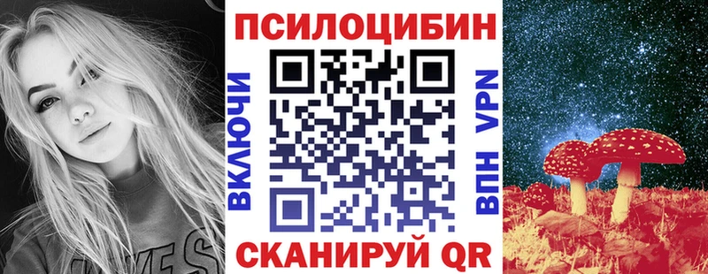 KRAKEN зеркало  Касимов  Псилоцибиновые грибы Cubensis  наркотики 